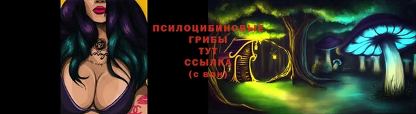 круглые Аркадак