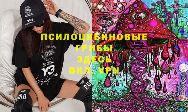 круглые Аркадак