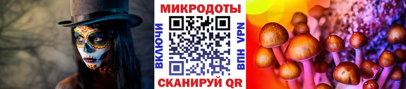 Псилоцибиновые грибы прущие грибы  Купить где  Биробиджан 